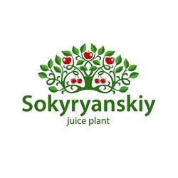 Свідоцтво торговельну марку № 231266 (заявка m201524453): sokyryanskiy juice plant