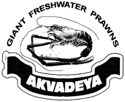 Свідоцтво торговельну марку № 205665 (заявка m201411651): giant freshwater prawns; akvadeya