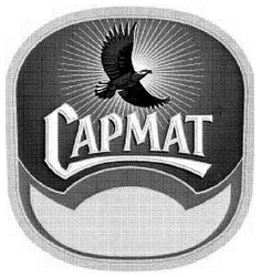 Свідоцтво торговельну марку № 125533 (заявка m200904143): сармат; capmat