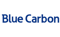 Заявка на торговельну марку № m202301915: blue carbon