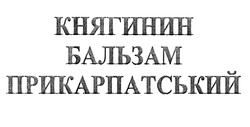 Свідоцтво торговельну марку № 284005 (заявка m201822997): княгинин бальзам прикарпатський