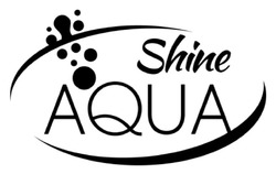 Заявка на торговельну марку № m202402468: shine aqua