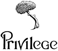 Свідоцтво торговельну марку № 46295 (заявка 2002119419): privilege