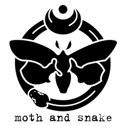 Свідоцтво торговельну марку № 343172 (заявка m202204299): moth and snake