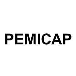 Свідоцтво торговельну марку № 345659 (заявка m202204838): ремісар; pemicap