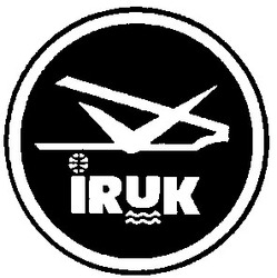 Свідоцтво торговельну марку № 24715 (заявка 99103627): iruk