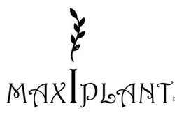Заявка на торговельну марку № m202403700: max i plant; maxiplant