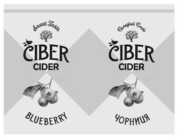 Заявка на торговельну марку № m202320840: чорниця; blueberry; sweet taste; ciber cider