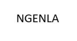 Свідоцтво торговельну марку № 322077 (заявка m202021113): ngenla