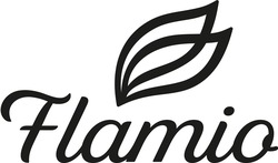 Свідоцтво торговельну марку № 342265 (заявка m202202198): flamio