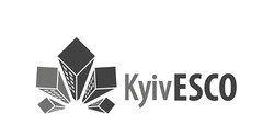Свідоцтво торговельну марку № 242914 (заявка m201622200): kyivesco