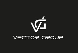 Свідоцтво торговельну марку № 345233 (заявка m202125205): vector group; vg
