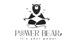 Заявка на торговельну марку № m202318506: its; it's your power; power bear