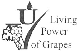 Свідоцтво торговельну марку № 297722 (заявка m201913057): living power of grapes; uv; vu