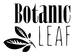 Свідоцтво торговельну марку № 255519 (заявка m201807500): botanic leaf
