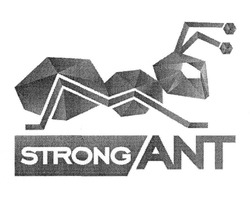 Свідоцтво торговельну марку № 304793 (заявка m201919154): strong ant