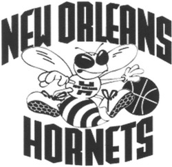 Свідоцтво торговельну марку № 48963 (заявка 2003043818): new orleans; hornets