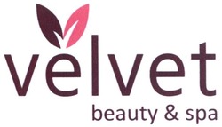 Свідоцтво торговельну марку № 256508 (заявка m201704973): velvet; beauty&spa
