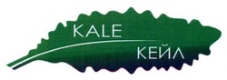 Свідоцтво торговельну марку № 282577 (заявка m201808520): kale; кейл