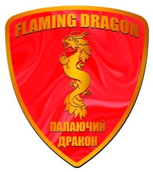 Свідоцтво торговельну марку № 346971 (заявка m202207476): палаючий дракон; flaming dragon