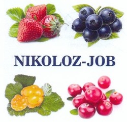 Свідоцтво торговельну марку № 201045 (заявка m201406969): nikoloz-job