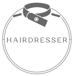Заявка на торговельну марку № m202401122: hairdresser