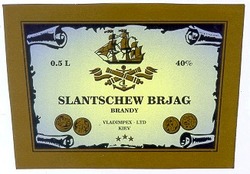 Заявка на торговельну марку № 95072201: SLANTSCHEW BRJAG; slantschew; brjag