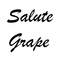 Свідоцтво торговельну марку № 260920 (заявка m201823552): salute grape