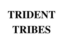 Заявка на торговельну марку № m202309969: trident tribes