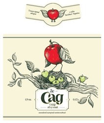 Заявка на торговельну марку № m202002025: тільки кращі яблука; з садів західної україни; де сад; сидр яблучний; 1,9 vol; 19; 0,45 l; звичайний шипучий напівсолодкий