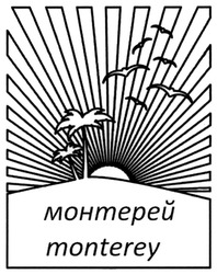 Заявка на торговельну марку № m201900857: monterey; монтерей