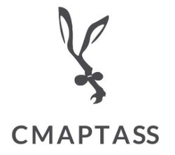 Свідоцтво торговельну марку № 325613 (заявка m202102648): cmaptass; cmapt ass; смарт