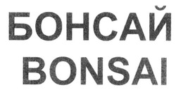 Заявка на торговельну марку № m201511257: бонсай; bonsai