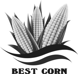 Заявка на торговельну марку № m201724010: best corn