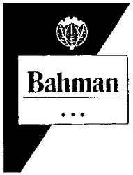 Заявка на торговельну марку № 2001095473: bahman