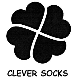 Заявка на торговельну марку № m201909810: clever socks
