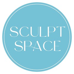 Заявка на торговельну марку № m202405801: sculpt space