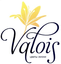 Свідоцтво торговельну марку № 135169 (заявка m200914264): valois; vqeois; vqtois; vqfois; vaeois; vatois; vafois; цветы жизни; vqlois