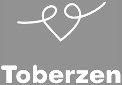 Свідоцтво торговельну марку № 321955 (заявка m202014179): toberzen