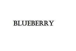 Свідоцтво торговельну марку № 225363 (заявка m201625769): blueberry