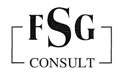Свідоцтво торговельну марку № 305587 (заявка m201926332): fsg consult