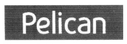 Заявка на торговельну марку № m201207345: pelican