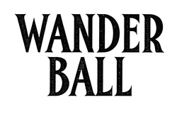 Заявка на торговельну марку № m202011793: wander ball