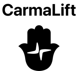Заявка на торговельну марку № m202206786: carma lift; carmalift