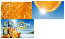 Заявка на торговельну марку № m202122842: sandora; 25 сонячних років разом!