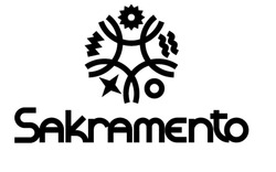 Свідоцтво торговельну марку № 309478 (заявка m202106600): sakramento