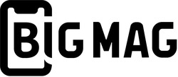 Свідоцтво торговельну марку № 333819 (заявка m202111948): big mag