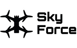 Заявка на торговельну марку № m202407170: sky force