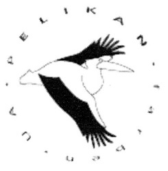 Заявка на торговельну марку № 2003033105: pelikan; farben; ua