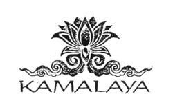 Заявка на торговельну марку № m201819761: kamalaya